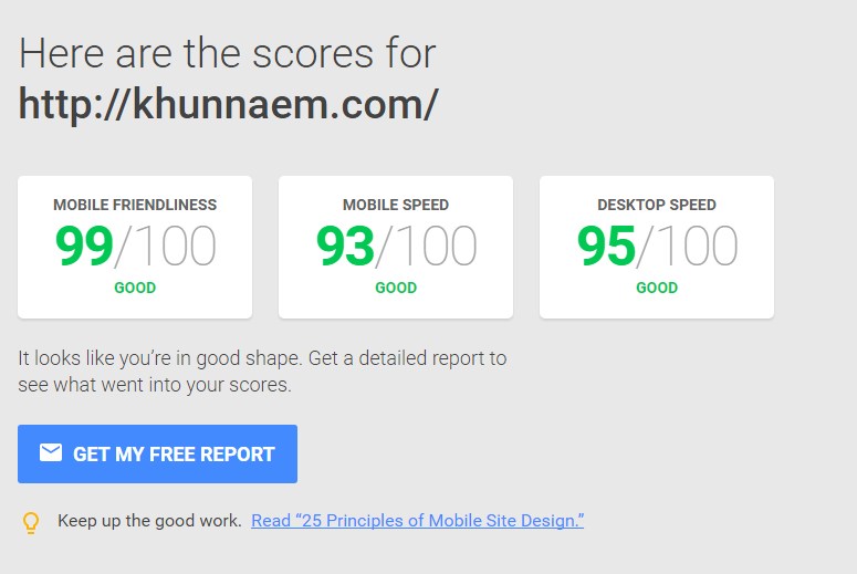 PageSpeed Insight Result